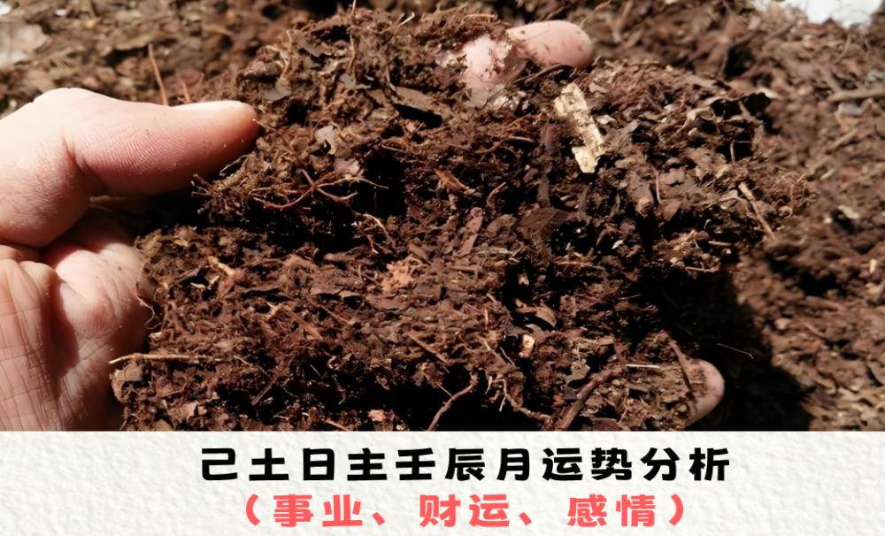 己土日主壬辰月运势分析（事业、财运、感情）