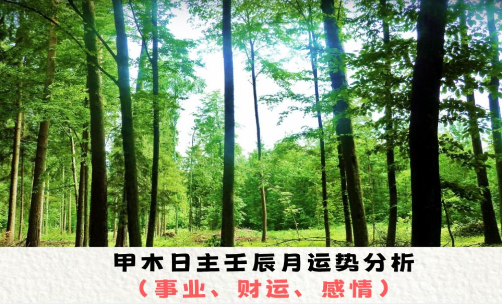 甲木日主壬辰月运势分析（事业、财运、感情）