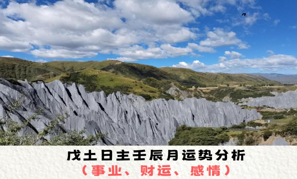 戊土日主壬辰月运势分析（事业、财运、感情）