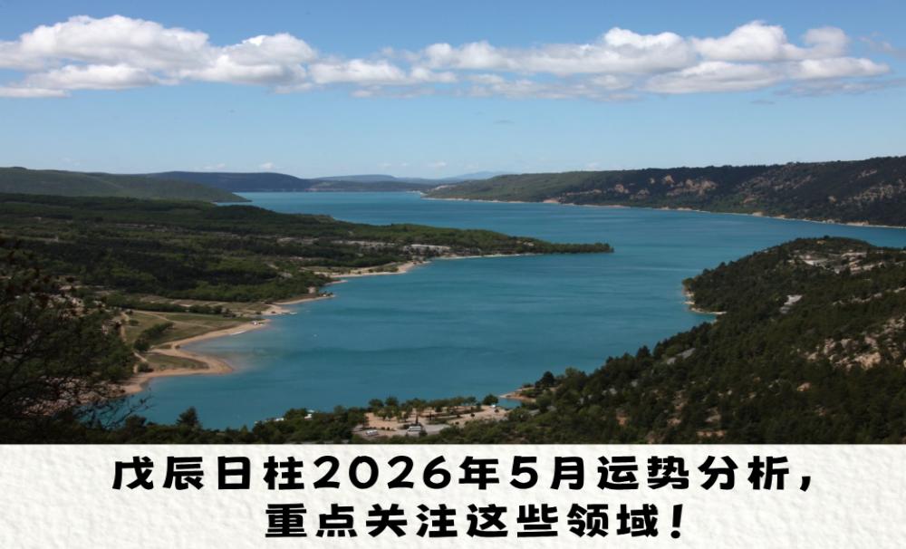 戊辰日柱2026年5月运势分析，重点关注这些领域！