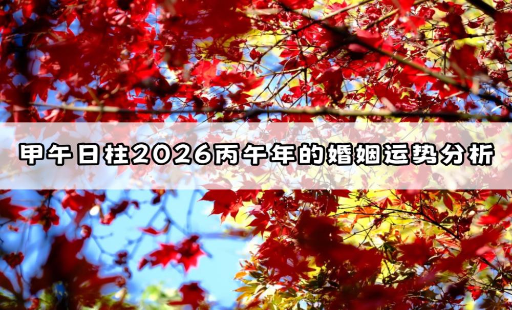 甲午日柱2026丙午年的婚姻运势分析