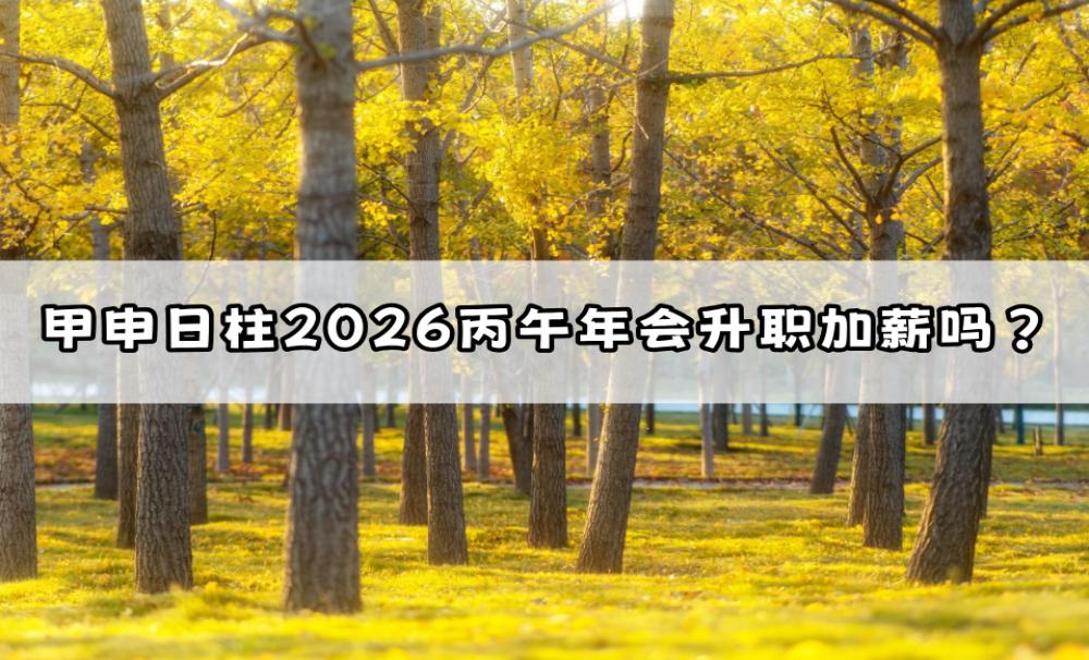甲申日柱2026丙午年会升职加薪吗？