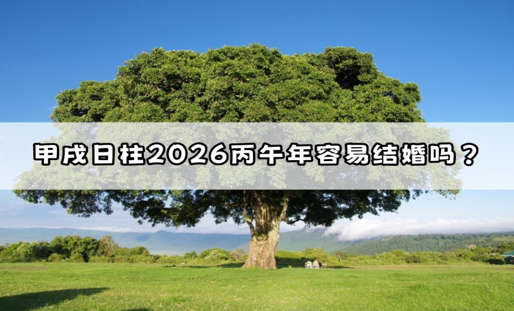 甲戌日柱2026丙午年容易结婚吗？