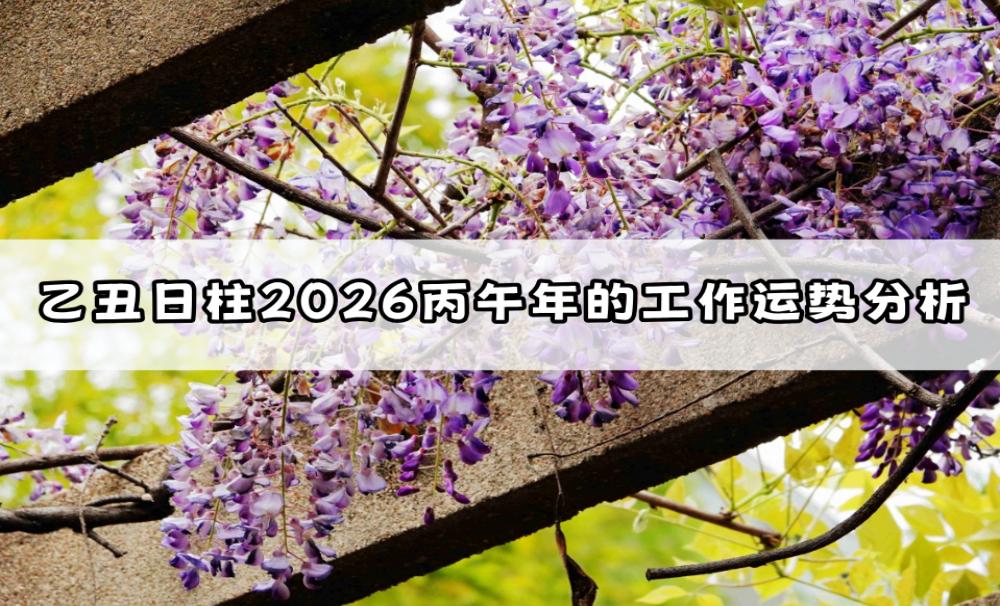 乙丑日柱2026丙午年的工作运势分析