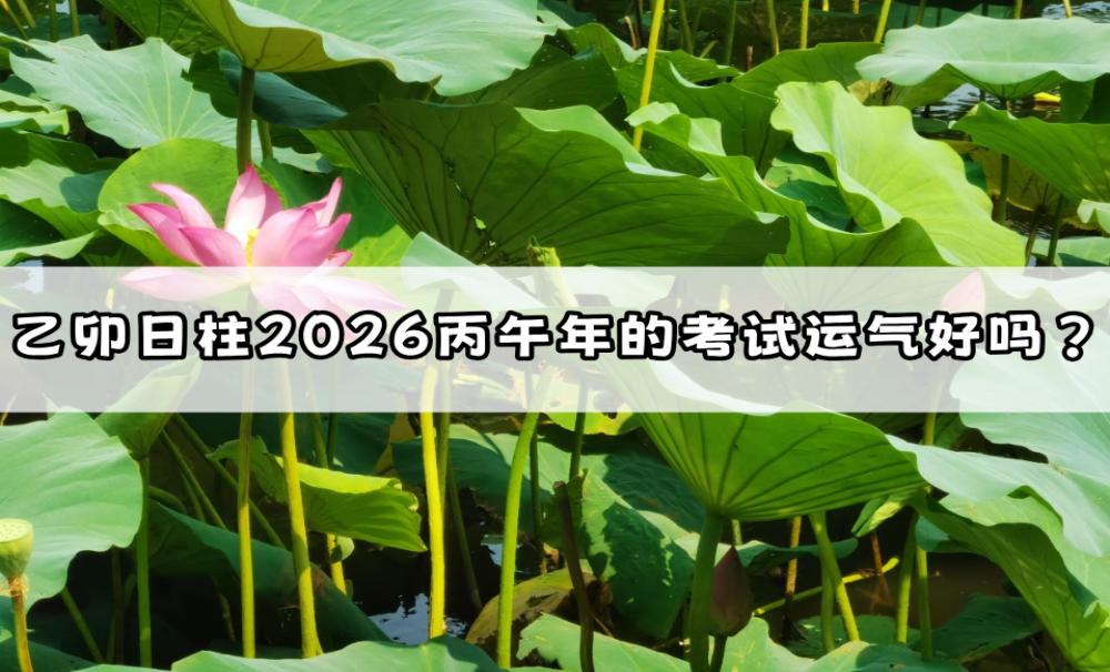 乙卯日柱2026丙午年的考试运气好吗？