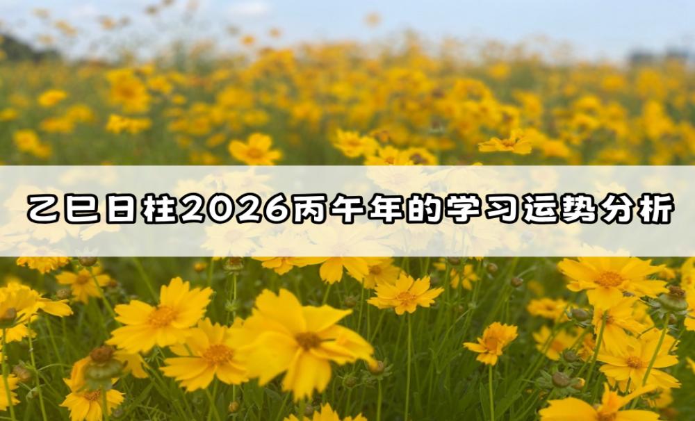 乙巳日柱2026丙午年的学习运势分析