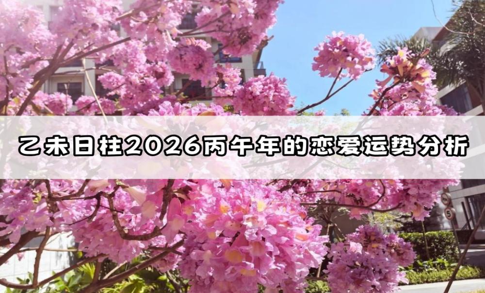 乙未日柱2026丙午年的恋爱运势分析