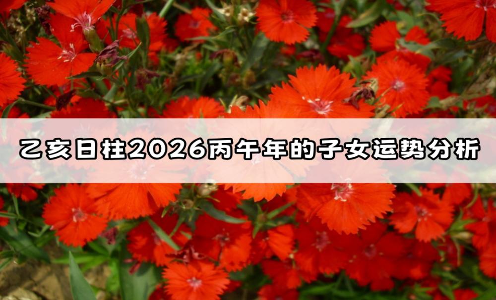 乙亥日柱2026丙午年的子女运势分析