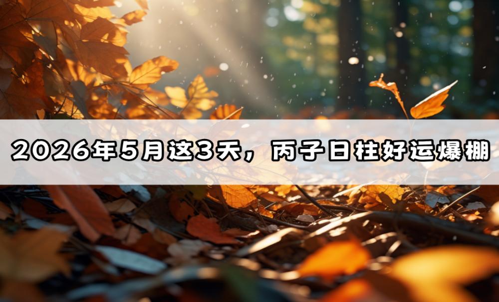 2026年5月这3天，丙子日柱好运爆棚