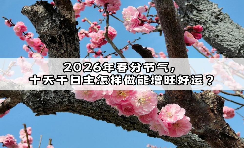 2026年春分节气，十天干日主怎样做能增旺好运？