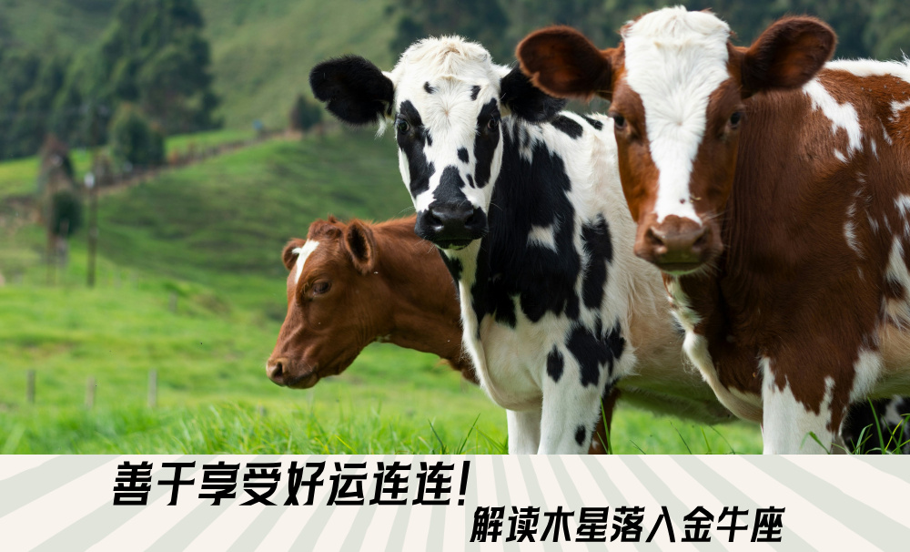 善于享受好运连连！解读木星落入金牛座