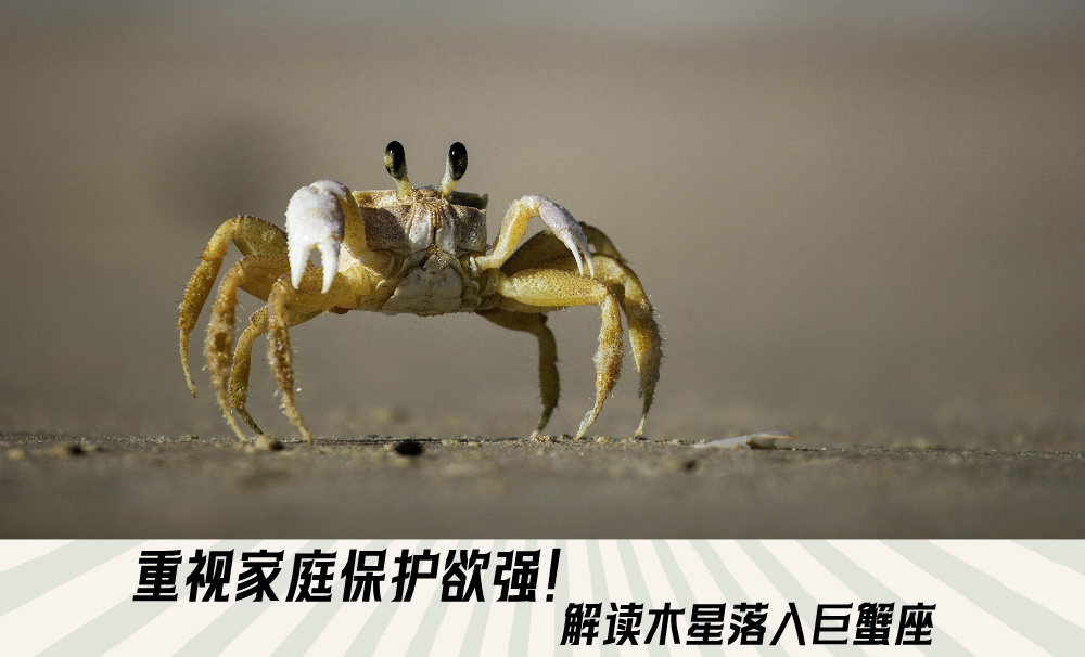 重视家庭保护欲强！解读木星落入巨蟹座