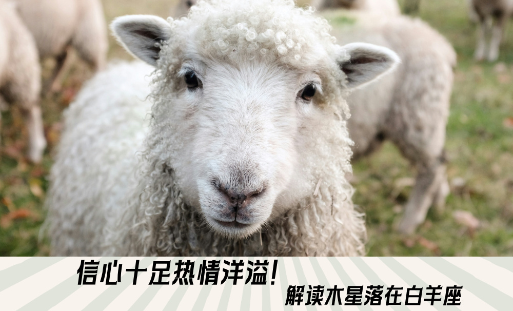 信心十足热情洋溢！解读木星落在白羊座