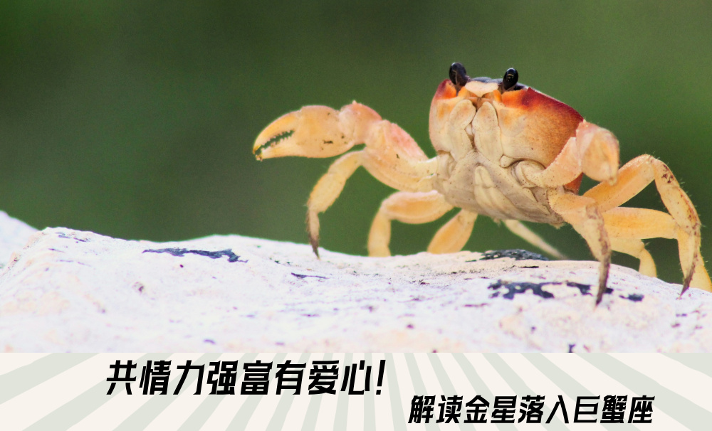 共情力强富有爱心!解读金星落入巨蟹座